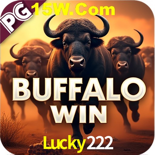 Lucky222 Rio de Janeiro - Bonus Terms